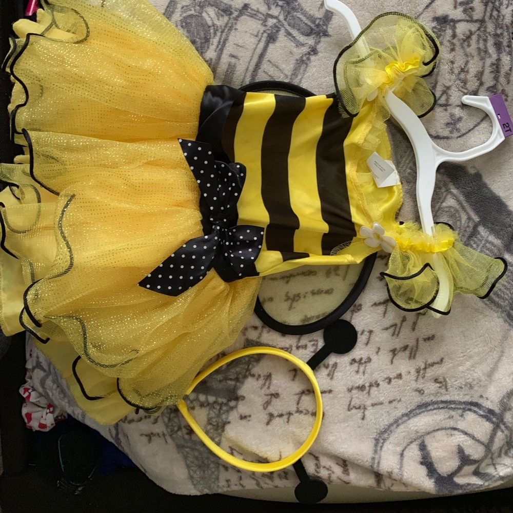 Bumble bee 🐝 costume
